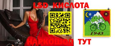 ECSTASY Конаково