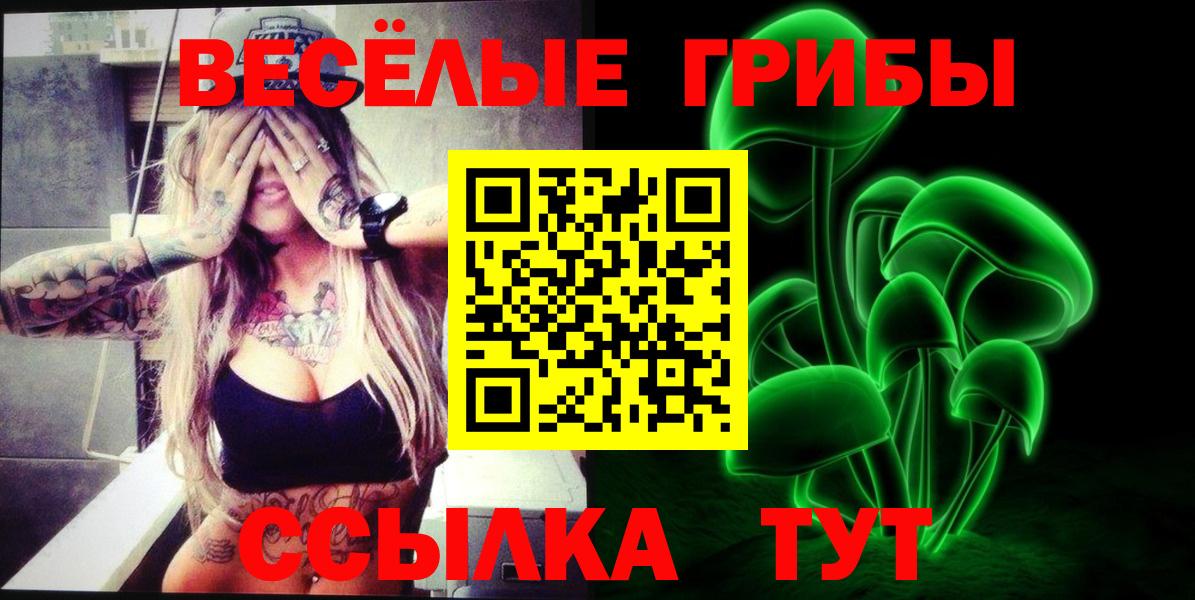 Галлюциногенные грибы Magic Shrooms  Вход с VPN  Татарск 
